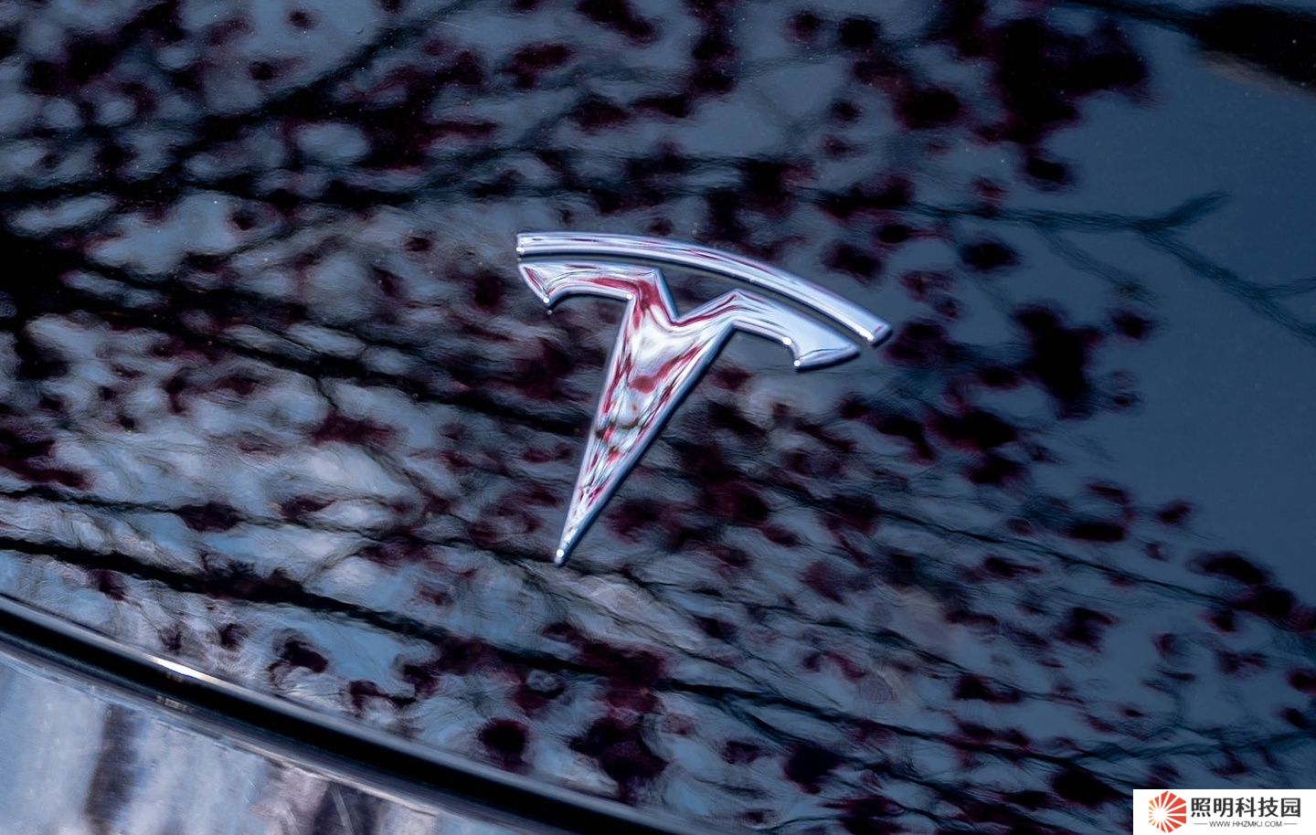 特斯拉多頭分析師大幅下調(diào)該公司目標(biāo)價(jià)，稱(chēng)馬斯克引發(fā)品牌危機(jī)