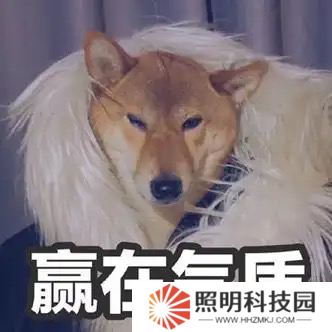 女大曬清涼穿搭，評論區炸鍋：這就是讓街拍師追了三條街的秘密？