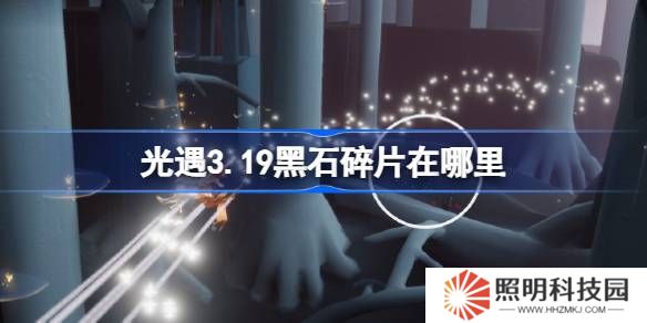光遇3.19黑石碎片在哪里-光遇3月19日黑石碎片位置攻略