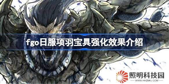 fgo日服項羽寶具強化效果介紹-fgo日服項羽寶具強化效果怎么樣