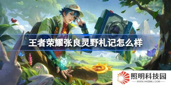 王者榮耀張良靈野札記么樣 王者榮耀張良靈野札記皮膚特效一覽